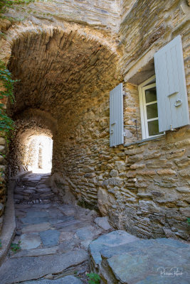 Ruelle de Cannelle - Commune de Centuri - 9442