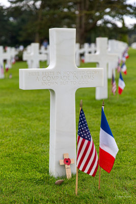 Cimetire de Colleville sur Mer - Normandie le 09 juin 2014-8265