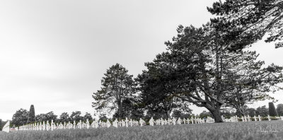 Cimetire de Colleville sur Mer - Normandie le 09 juin 2014-8271
