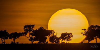 Sunrise - Kenya-00026-2
