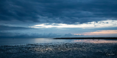 Camargue 2021 - jeudi matin  l'aube-3427