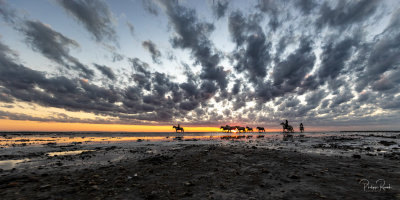 Camargue