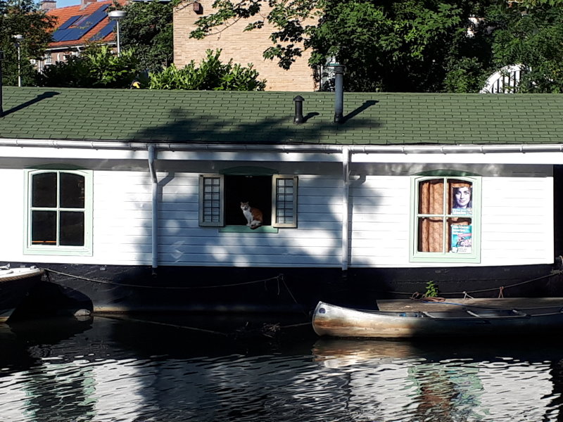 20220730_090006.jpg