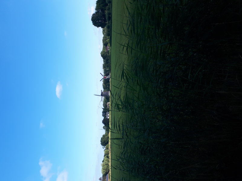 20220730_091942.jpg