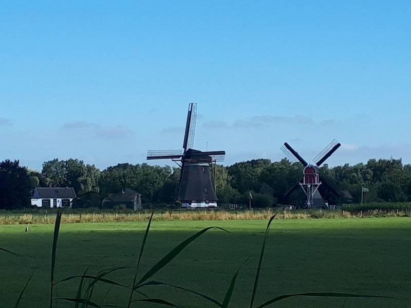 20220730_092000.jpg