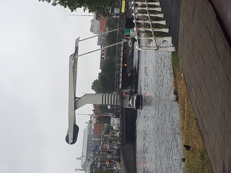 20220731_103230.jpg