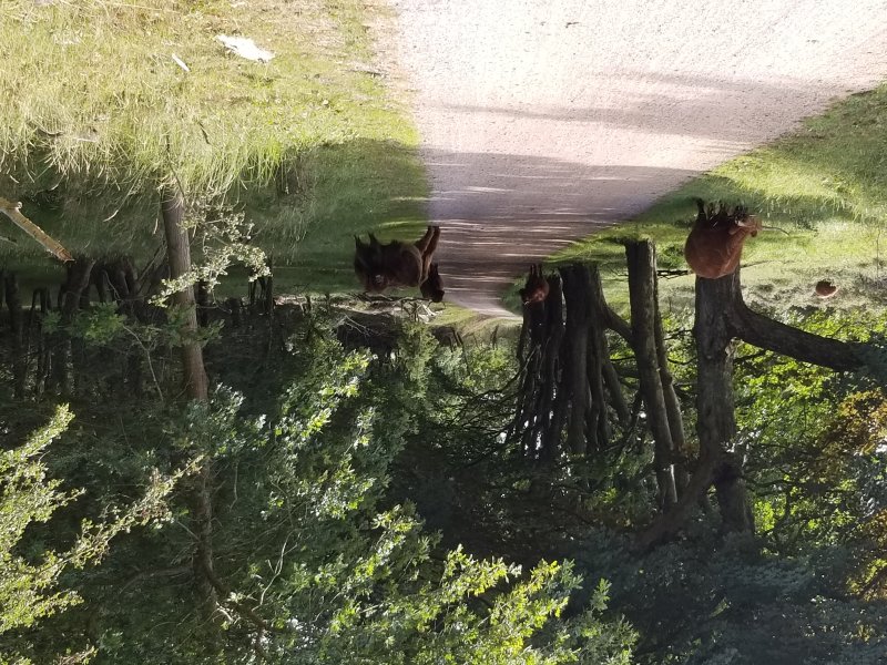 20220801_035125.jpg