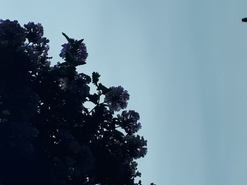 20220801_113619.jpg
