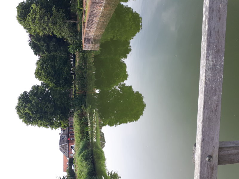 20220801_134551.jpg