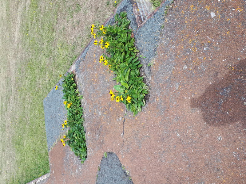 20220801_134620.jpg