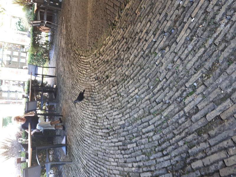 20220801_183226.jpg
