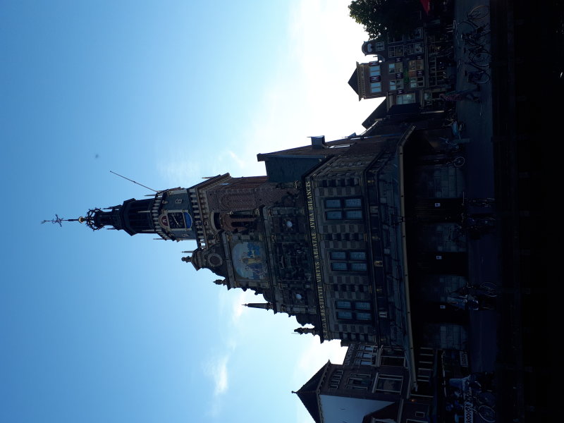 20220801_201222.jpg