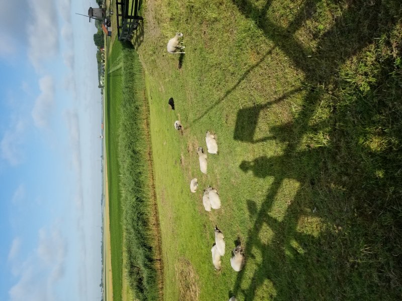 20220803_025908.jpg