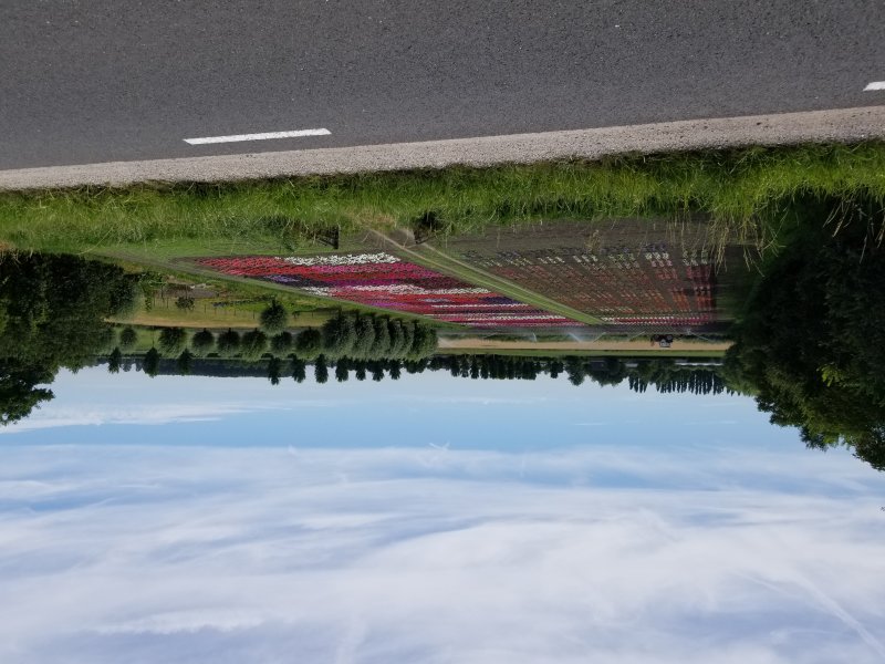 20220803_093012.jpg