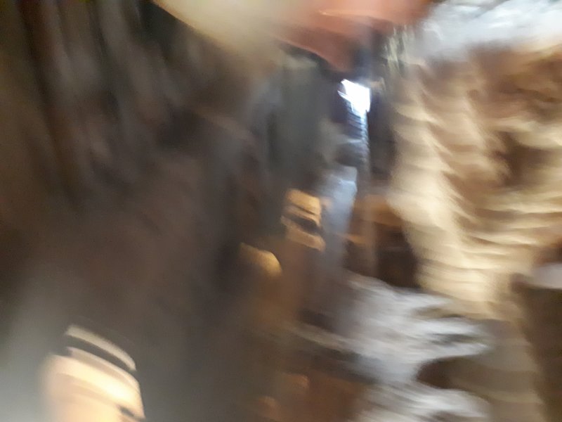 20220804_113903.jpg