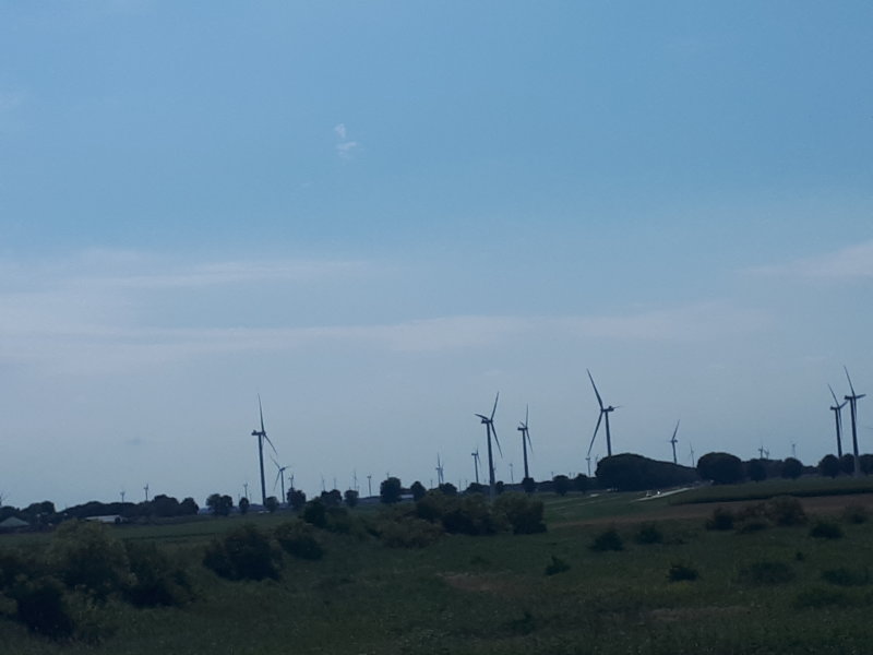 20220804_152804.jpg