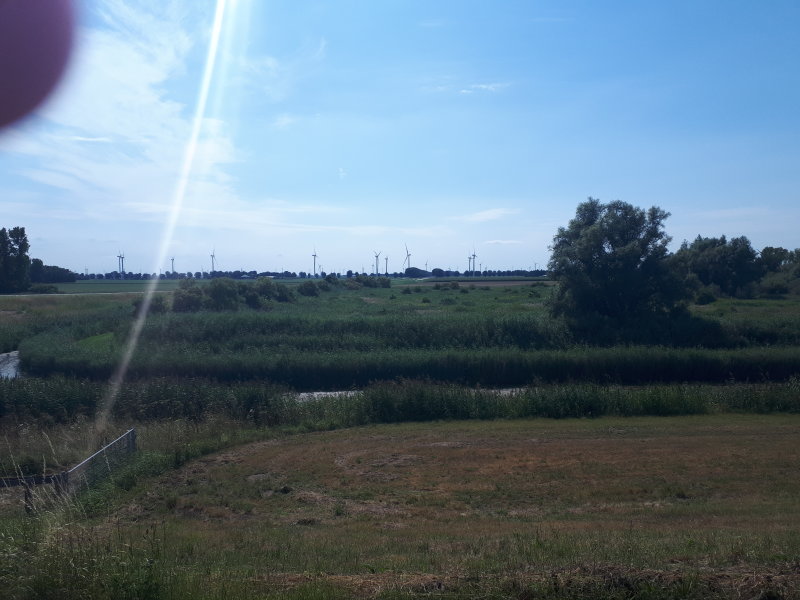 20220804_152809.jpg