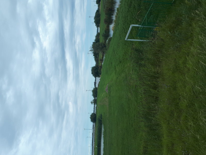 20220805_130010.jpg
