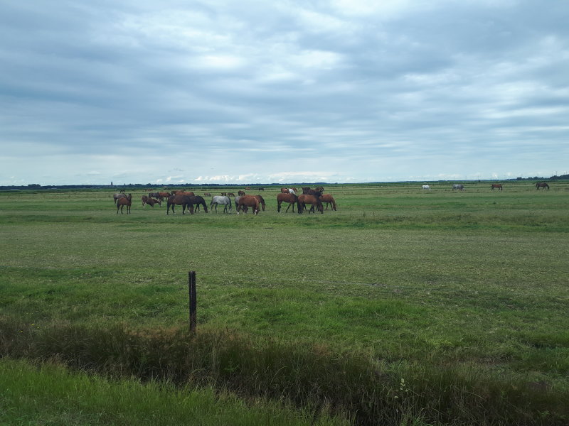 20220805_134500.jpg