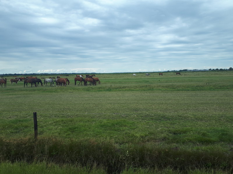 20220805_134501.jpg