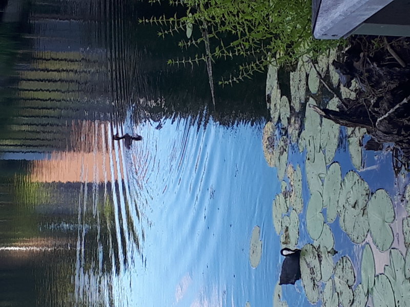 20220805_193549.jpg
