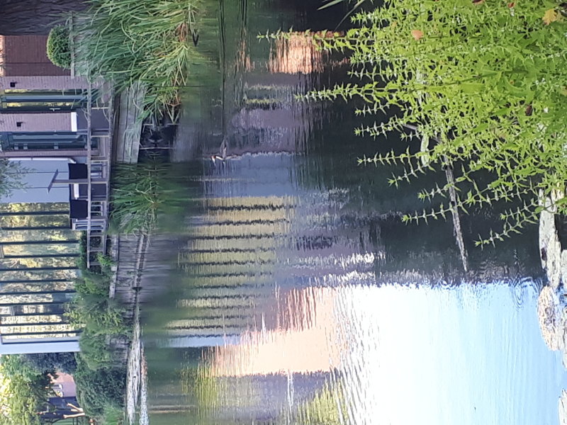 20220805_193620.jpg