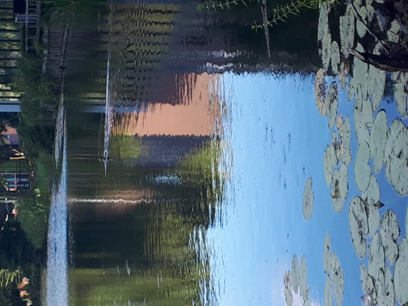 20220805_193627.jpg