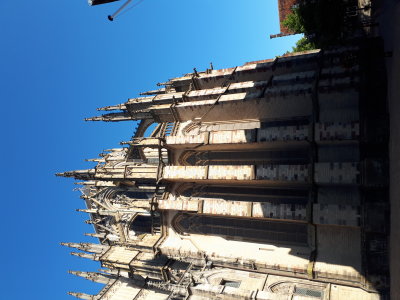 20220730_083719.jpg