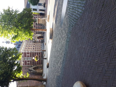 20220730_083907.jpg