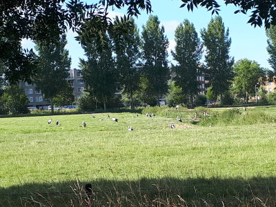 20220730_090926.jpg