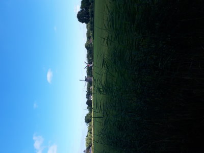 20220730_091942.jpg