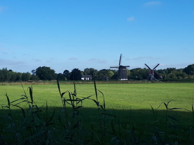 20220730_092016.jpg