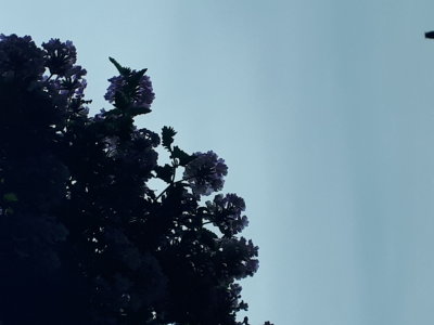 20220801_113619.jpg
