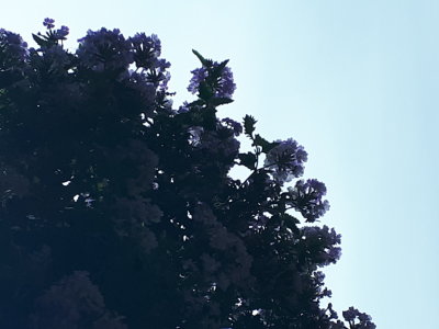 20220801_113647.jpg