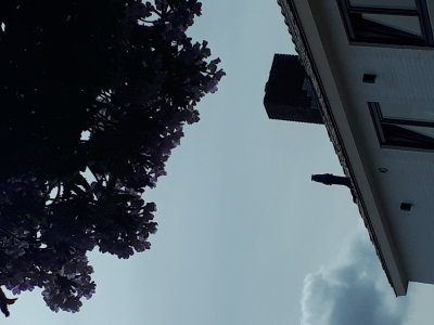 20220801_113703.jpg