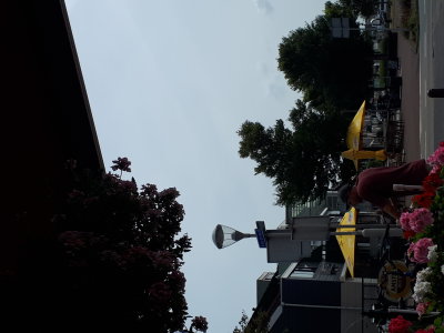 20220801_113859.jpg