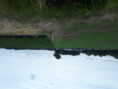 20220801_133254.jpg