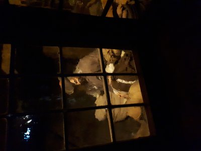 20220804_113226.jpg