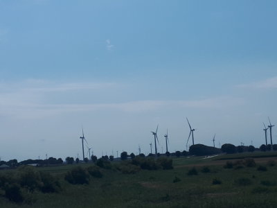 20220804_152804.jpg