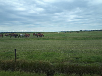 20220805_134501.jpg