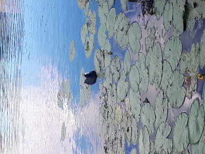 20220805_193529.jpg