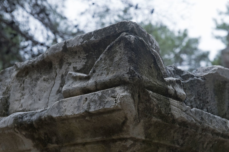 Phaselis December 2013 4744.jpg