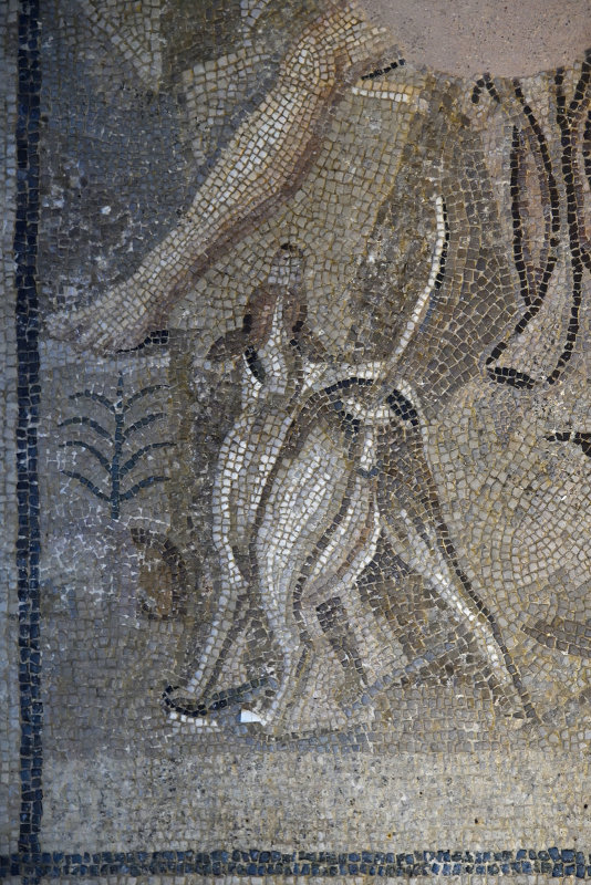 Adana Archaeological Museum Artemis Mosaic mid 2nd AD 0769.jpg