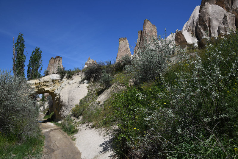 Rose valley 2019 1692.jpg
