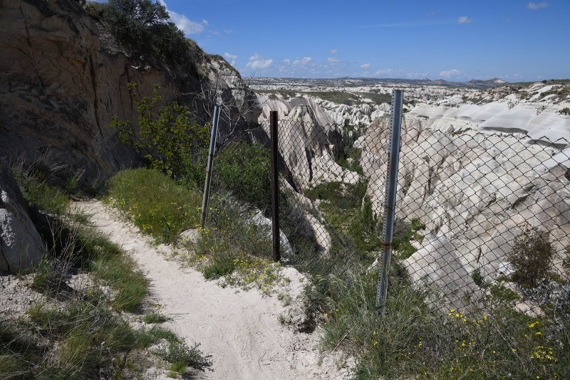 Rose valley 2019 1684.jpg