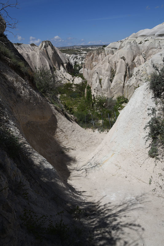 Rose valley 2019 1685.jpg