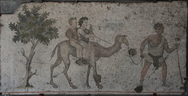 Istanbul Mosaic museum Dromedary ride june 2019 2469.jpg