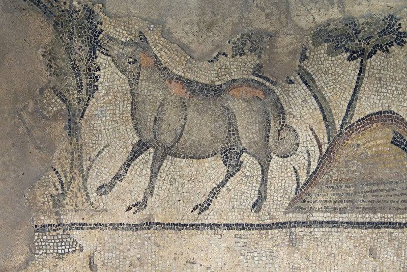 Urfa Haleplibahce Museum Achilles mosaic sept 2019 5137.jpg