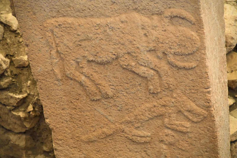 Urfa Gobeklitepe Building A sept 2019 5407.jpg