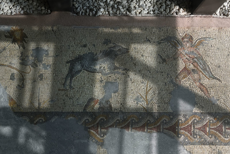 Adana Archaeological Museum Unidentified mosaic sept 2019 6504.jpg
